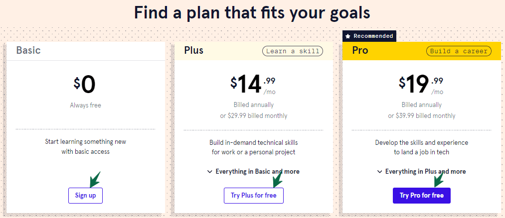 Codecademy-Pricing-Plan 