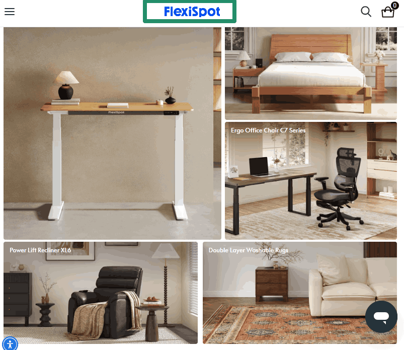FlexiSpot