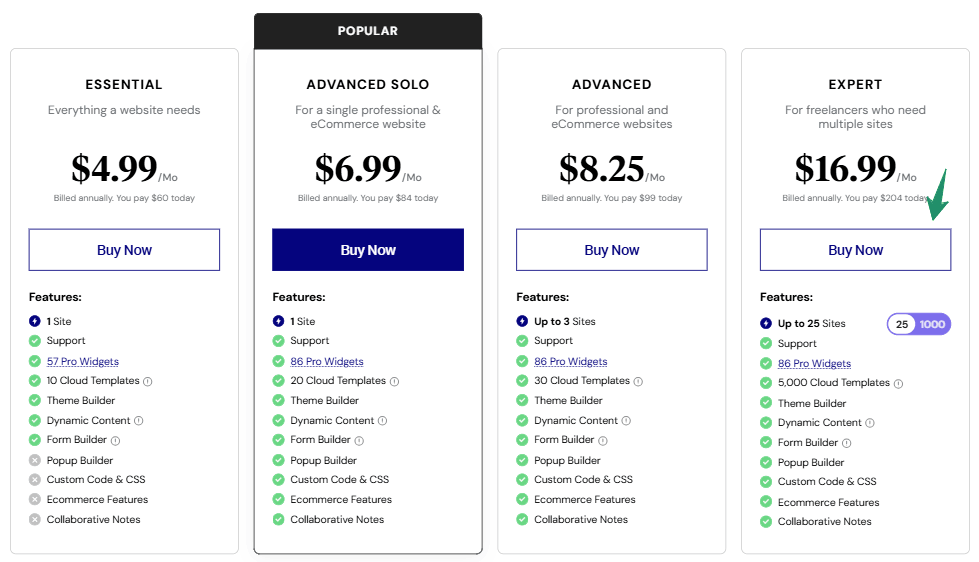 Elementor Plugin Pricing